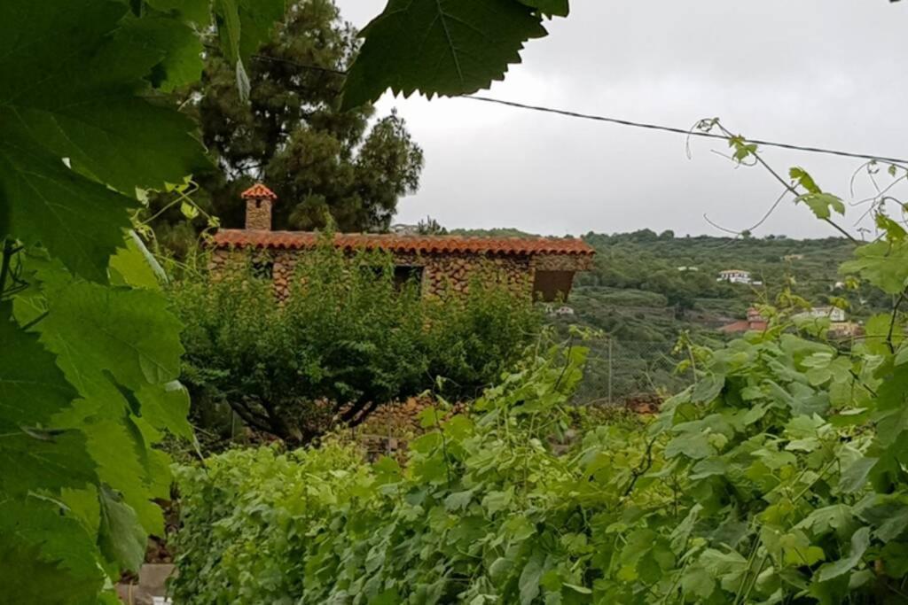La Tagora Conect With The Nature & Relax Icod De Los Vinos Ngoại thất bức ảnh